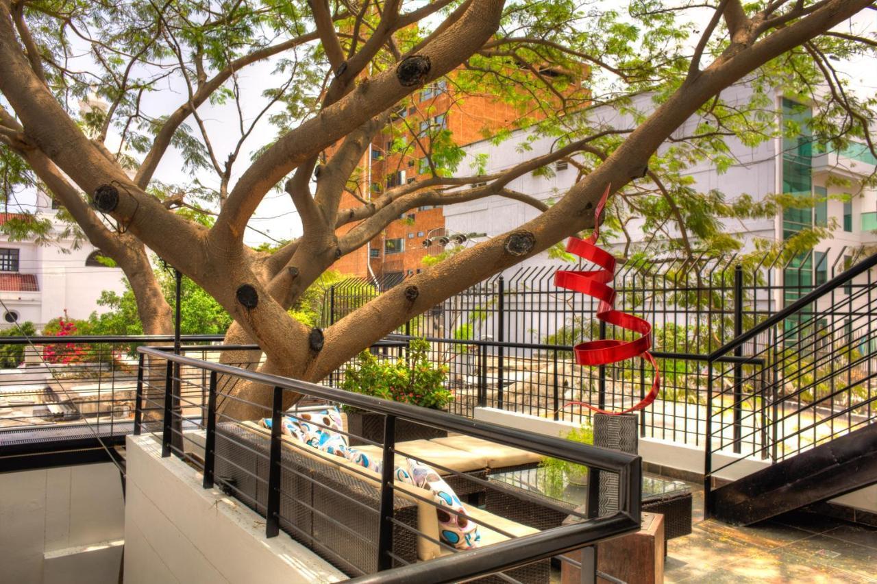 Casa De Leda, A Kali Hotel Santa Marta  Exteriör bild The tree at the center of the courtyard