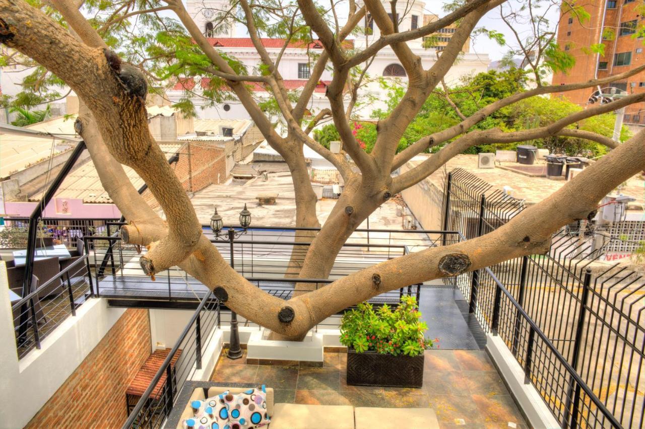 Casa De Leda, A Kali Hotel Santa Marta  Exteriör bild The tree in 2019