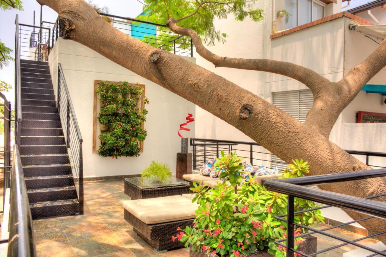 Casa De Leda, A Kali Hotel Santa Marta  Exteriör bild The courtyard of the school